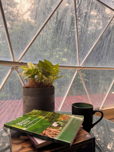 Interior detail, Epífita Glamping Monteverde, Abangares