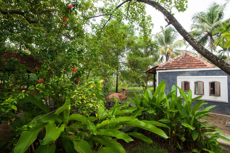 Others 5, Kayal Island Retreat, Ernakulam