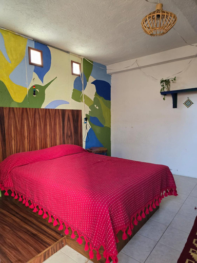 4, Casa del Árbol Xochimilco, Del Centro