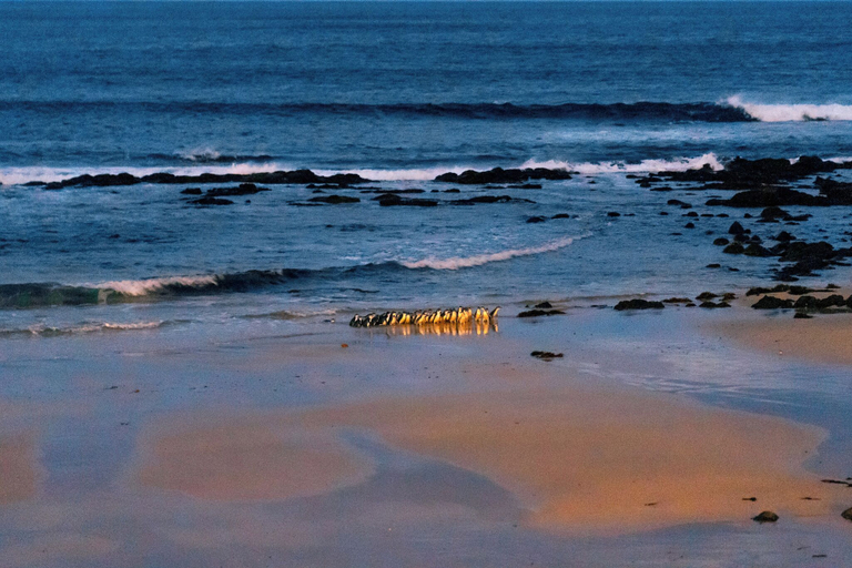 Others 5, Pelicans Motel San Remo, Bass Coast  Bal
