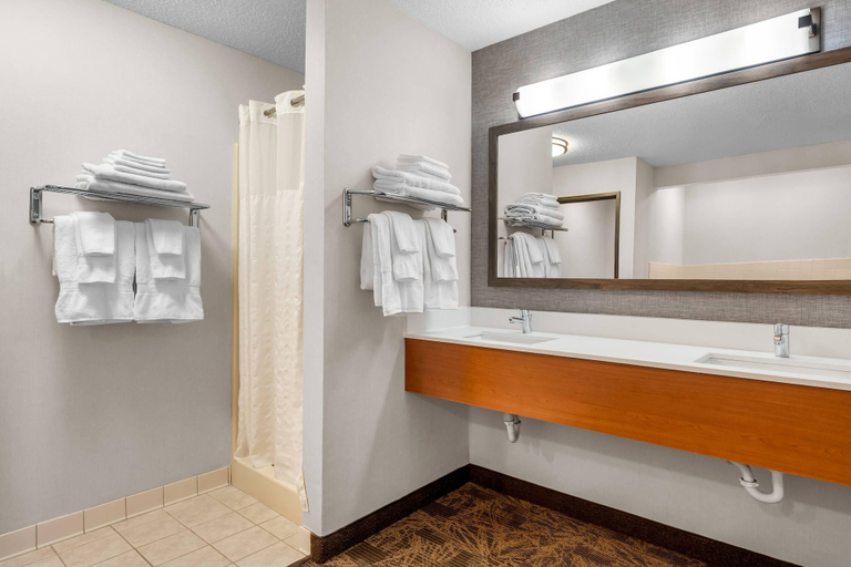 Bathroom 4, Quality Inn Ironwood, Gogebic