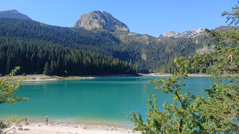 Others 3, D&N place - forest house Zabljak