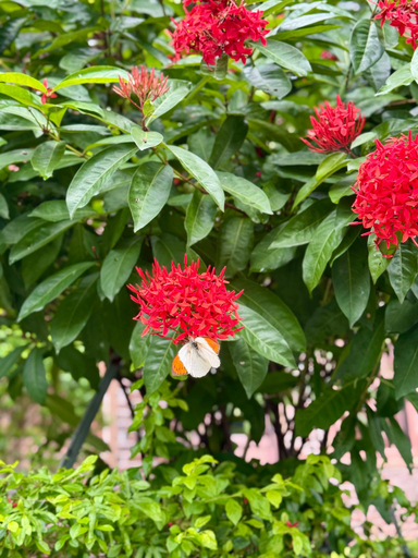 Others 5, TRANG AN MEMORY HOMESTAY, Hoa Lư