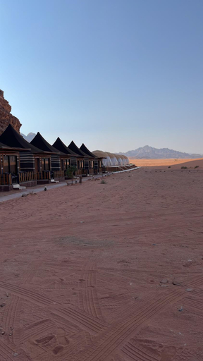 Others 3, Dessert flowers wadi rum, Quaira