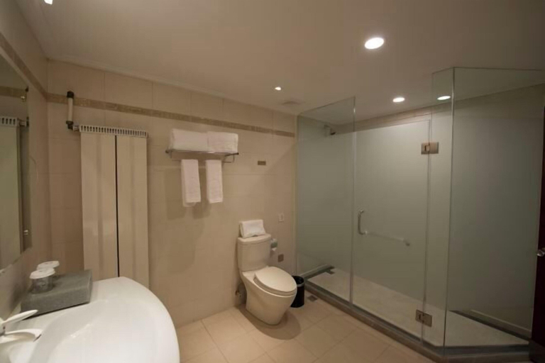 Bathroom 4, Beidahuang International Hotel, Harbin