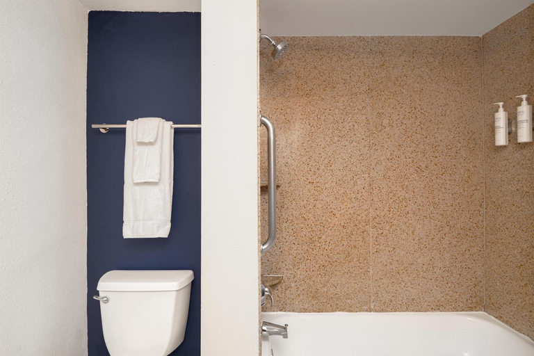 Bathroom 3, Stones River Inn & Suites, Rutherford