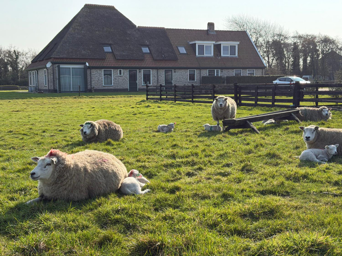 Exterior & Views, 't lant van Texsel, Texel