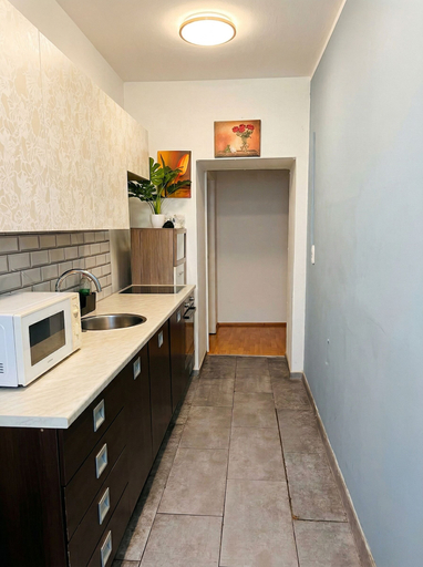 Private kitchen 2, Modern 3BR Apartment Close to Belvedere, Wien