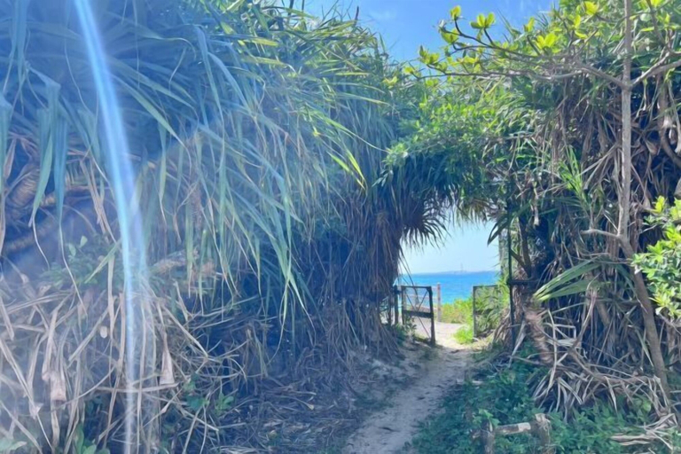 Property grounds, LAGUNA OKINAWA Beachfront YAKA, Kin