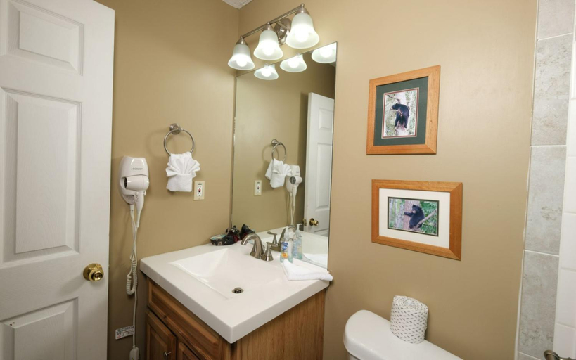Bathroom, TN Bear Den, Sevier