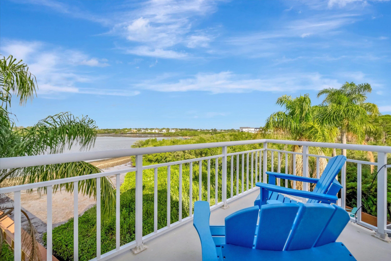 Property grounds 2, Palm Harbor Waterfront Home, Pinellas