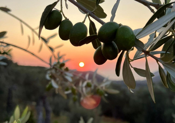 Others 5, Villa Tramonto D'Oro