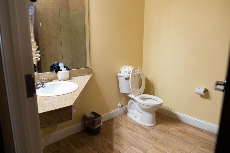 Bathroom 4, The Citrus Hotel, Lake