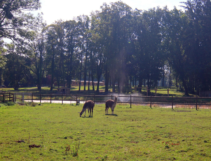 Garden 5, Ferienhaus Nahe Schlosshotel Wendorf Golf, Ludwigslust-Parchim