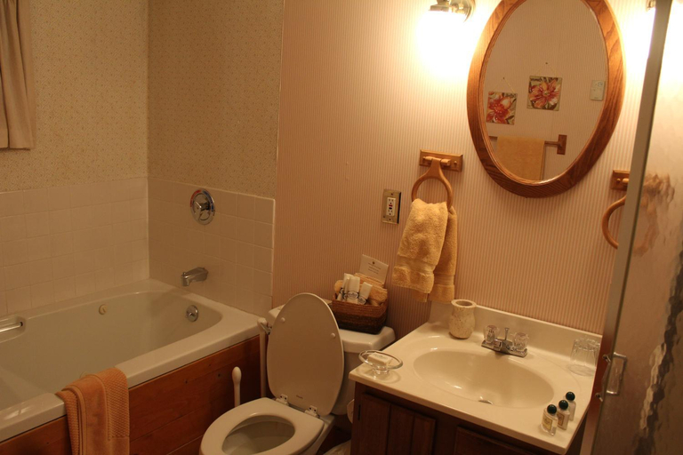 Bathroom 5, Fox Creek Inn, Rutland