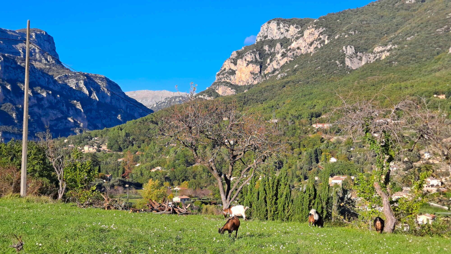 Miscellaneous 3, La Maison du Paysan - Locations-06, Alpes-Maritimes