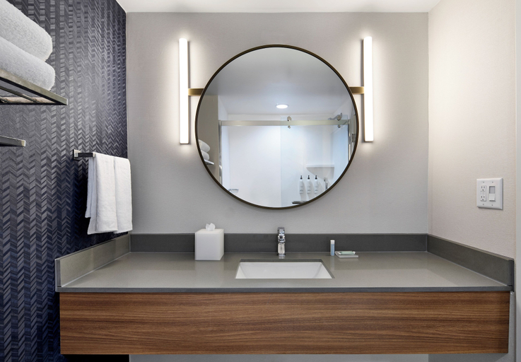 Bathroom 3, Fairfield by Marriott Inn & Suites LaGrange, Troup