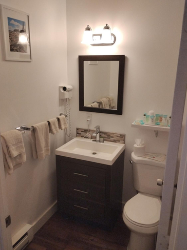 Bathroom 3, acadia sunrise motel, Hancock
