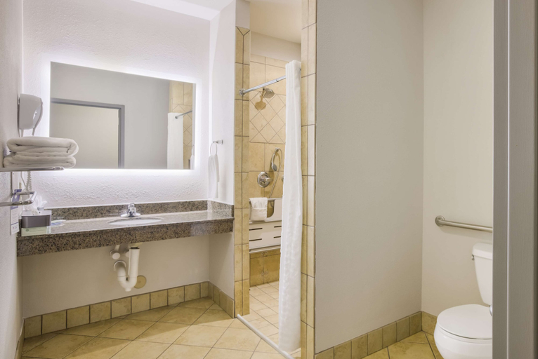 Bathroom 3, Best Western Asheville -Blue Ridge Parkway, Buncombe