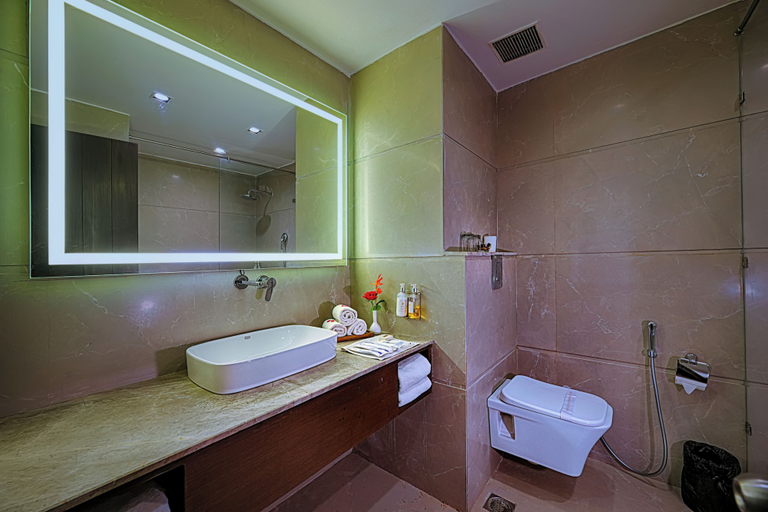 Bathroom 5, The Retreat, Agra