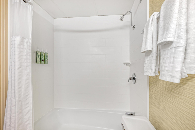 Bathroom 4, Best Western Holiday Lodge, Cerro Gordo