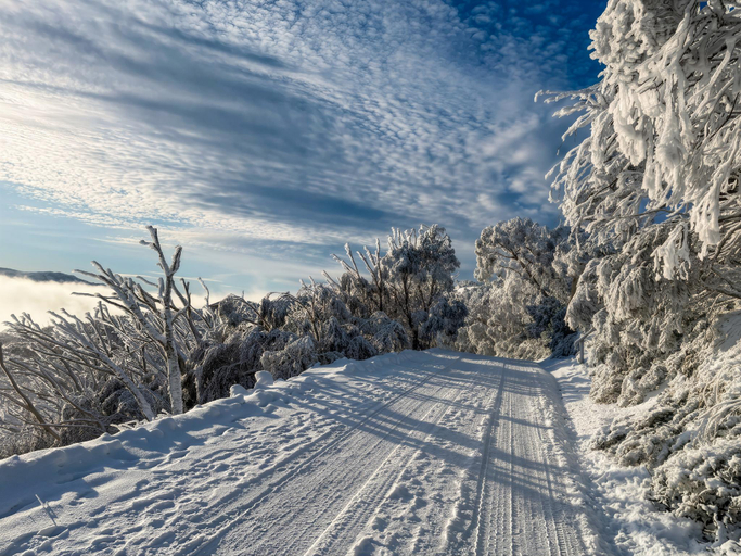 Exterior view 4, Mont Blanc Chalet –Mount Buller Chalet Walk to Lifts. Sleeps 12, Mount Buller Alpine Resort