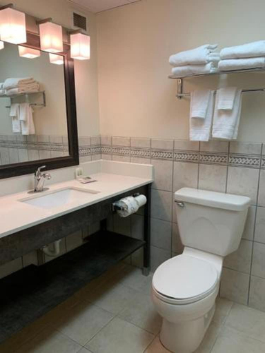 Bathroom 3, Quality Inn Franklin, NC, Macon