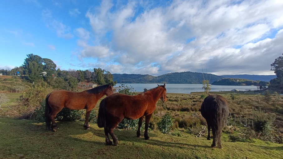 Others 4, Cabanas Isla Del rey, Valdivia