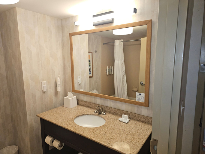 Bathroom 4, Hampton Inn & Suites Prattville, Elmore