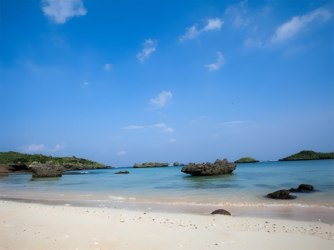 Others 5, Hoshizuna Beachfront Coral Garden, Taketomi