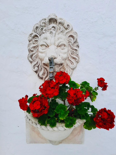 Food & Drinks 5, Il Canto delle Sirene, Foggia