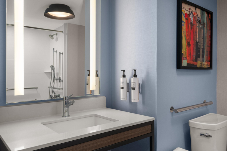 Bathroom 4, Hilton Garden Inn Indianapolis/Carmel , Hamilton