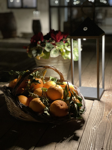 Food & Drinks 5, Fattoria Manostalla, Palermo