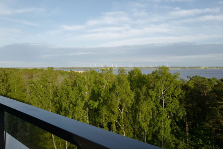 Room 4, Oaza Spokoju Widok na Las Design Shellter, Kołobrzeg