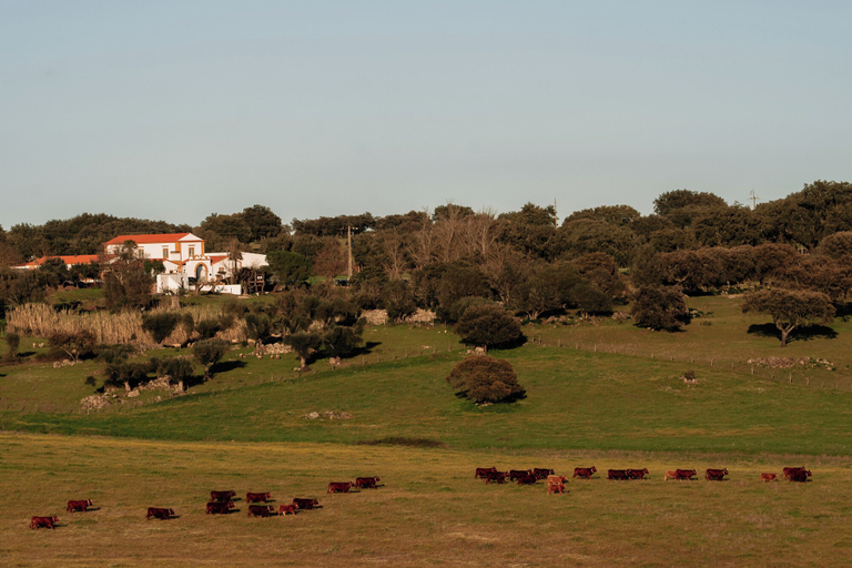View from property, Herdade dos Moreiros, Arronches