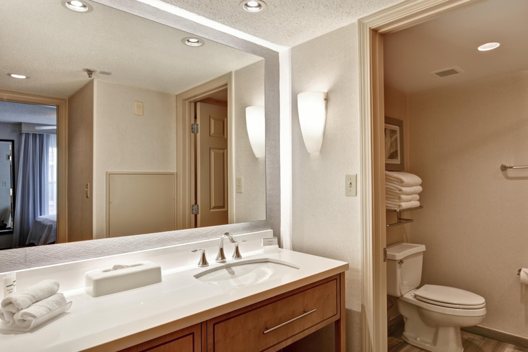 Bathroom 5, Homewood Suites by Hilton Windsor Locks Hartford, Hartford