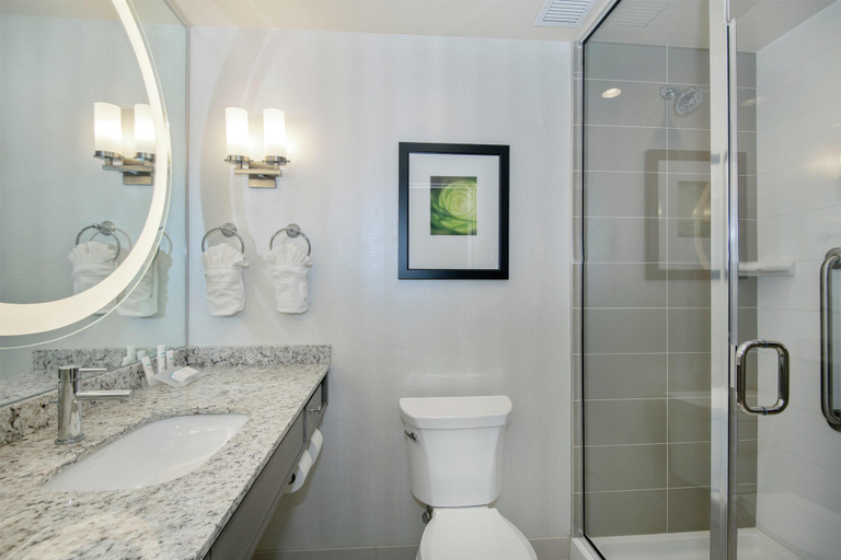 Bathroom 4, Hilton Garden Inn Raleigh /Crabtree Valley, Wake