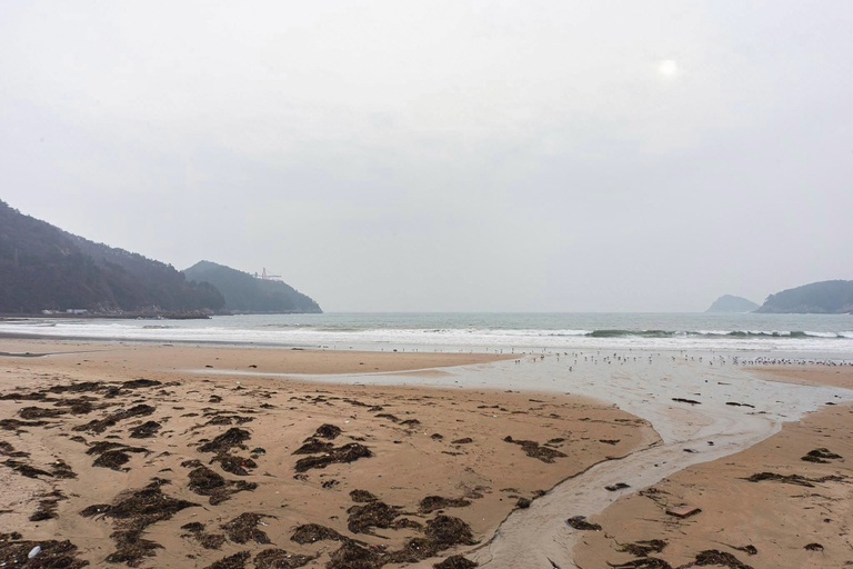 Others 5, Namhae Cinema, Namhae
