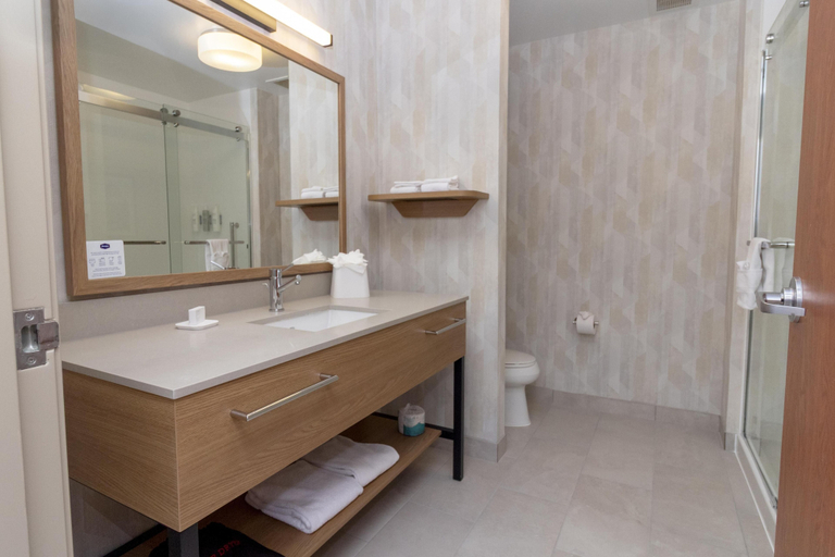 Bathroom 4, Hampton Inn Rock Springs, Sweetwater
