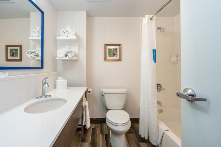 Bathroom 4, Hampton Inn & Suites Flagstaff, Coconino