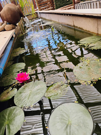 Terrace/patio 4, Casa Niwa Koi Entre Peces, Maipo