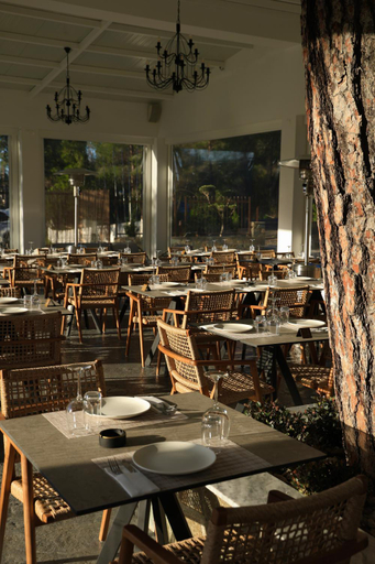Food & Drinks 4, Pine View Boutique Hotel Adults Only