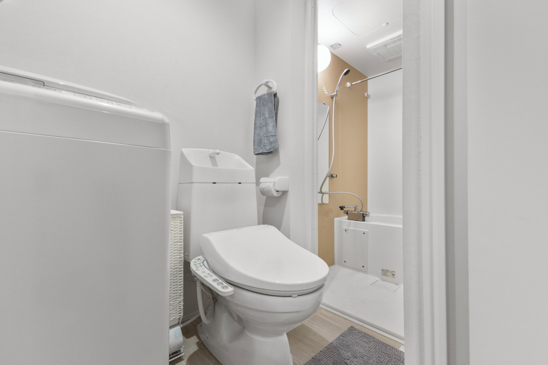 Bathroom 3, Nishi-Shinjuku Apartment, Shibuya