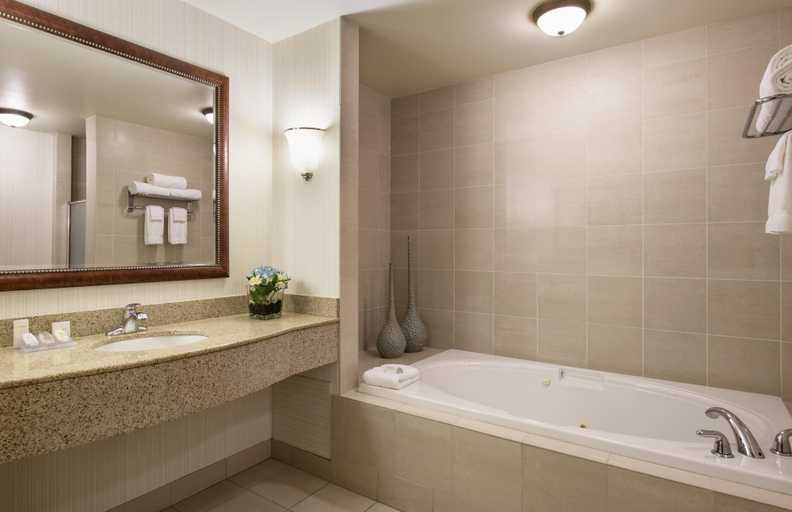 Bathroom 5, Hilton Garden Inn West Edmonton, Division No. 11