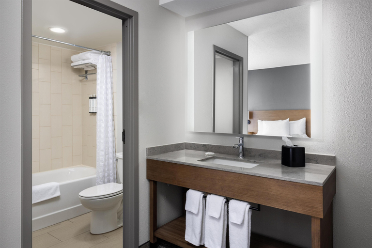 Bathroom 4, Hyatt Place Atlanta / Cobb Galleria, Cobb