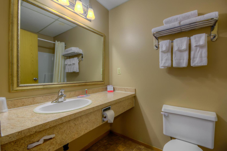 Bathroom 4, Econo Lodge, Division No. 6