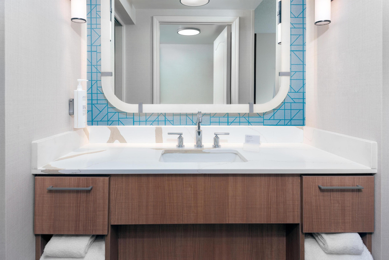 Bathroom 3, Homewood Suites By Hilton Orlando-Nearest Universal Studios, Orange