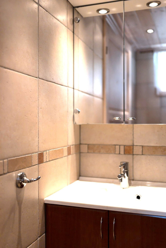 Bathroom 3, Skjolden Resort, Luster