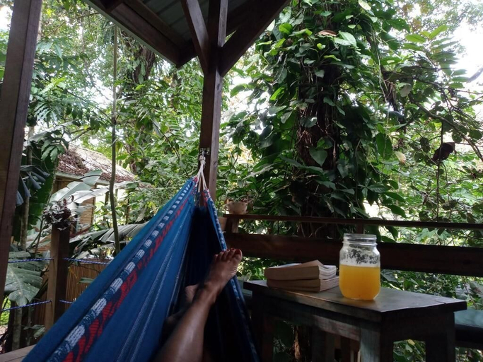 Property grounds 5, Jungle Paunch Cabins, Bocas del Toro