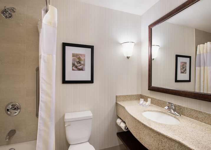 Bathroom 4, Hilton Garden Inn West Edmonton, Division No. 11